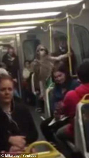 woman flashes underwear on melbourne train in peak hour daily mail online