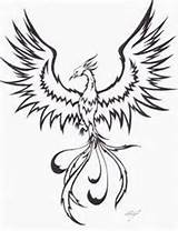 Phoenix Drawing Bird Drawings Tattoo Coloring Rising Line Ashes Tattoos Realistic Simple Tribal Pencil Dessin Pheonix Deviantart Outline Easy Draw sketch template