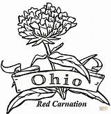 Ohio Coloring State Pages Brutus Drawing Buckeye Carnation Flower Band Buckeyes Football Michigan Bow Pennsylvania Mistletoe Color Majorette Mariachi Christmas sketch template