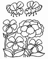 Pages Coloring Bee Flower Bees Flowers sketch template