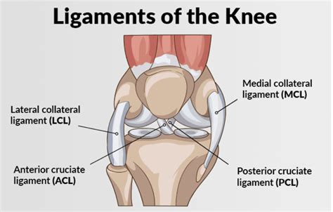 knee ligament injuries insync physiotherapy