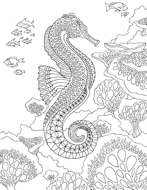 coloring page seahorse kidsworksheetfun