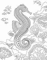 Coloring Seahorse Pages Sea Adult Under Printable Zentangle Therapy Ocean Horse Adults Detailed Creatures Pdf Print Por Fish Para Book sketch template