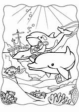 Kleurplaat Dolfijnen Delfines Delfini Colorare Malvorlage Delphinen Dauphins Delfiny Shipwreck Frozen Kleurplaten Kolorowanki Dolphins Printen Grote Dibujos Tekeningen Disegni Kolorowanka sketch template