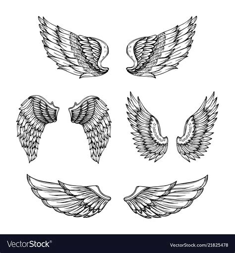 hand drawn wing sketch angel wings  feathers vector image