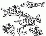Fishes Kolorowanki Koralowa Rafa Ausmalbilder Koralle Dzieci Dla Coloringhome sketch template