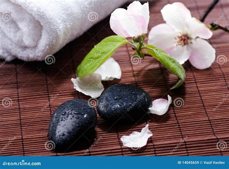 natural spa stock image image  towel leafs treatment