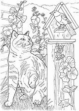 Coloring Pages Cats Adult Dogs Cat Printable Dog Animal Adults Enlarge Click Lovable Dover Choose Board Books Color Animals Book sketch template