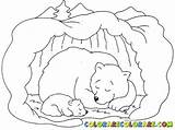 Coloring Cave Pages Bear Hibernating Colouring Sleeping Color Printable Print Getcolorings sketch template