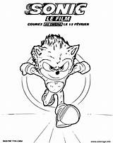 Hedgehog Fast Coloriages Exe Colorear Imprimé Ccovers sketch template