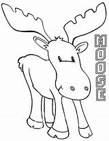 Moose Coloring Pages Drawing Cartoon Print Baby Kids Color Getdrawings Getcolorings Printable sketch template