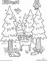 Coloring Pages Worksheets Forest Preschool Animal Camping Kindergarten Printable Nature Colouring Kids Worksheet Color Tree Printables Woodland Animals Sheets Education sketch template