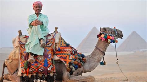 bbc travel the perfect trip egypt
