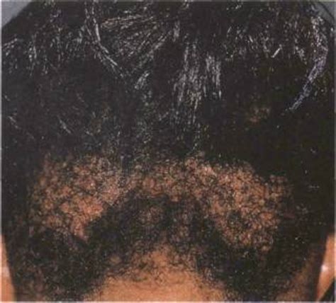hair articles rootsends natural hair body care