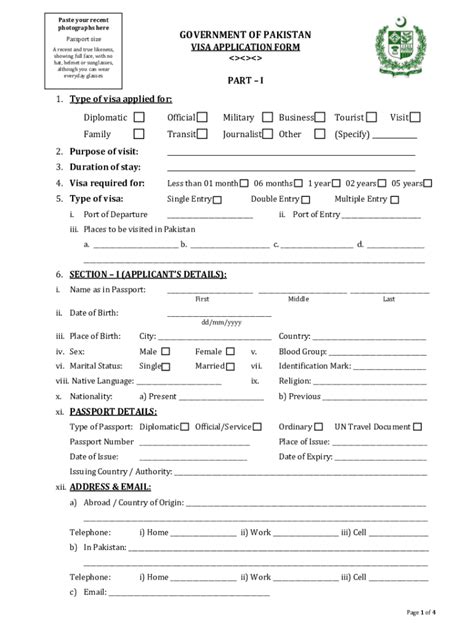 pakistan visa form fill out and sign printable pdf template