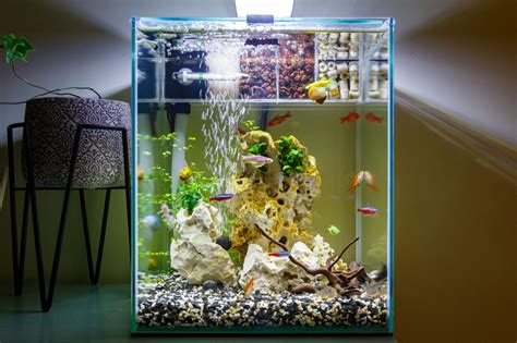 pesan kaca aquarium  kualitas terbaik himalaya abadi