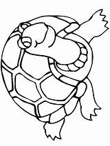 Coloring Turtle Pages Color Animals Print Animal Back sketch template