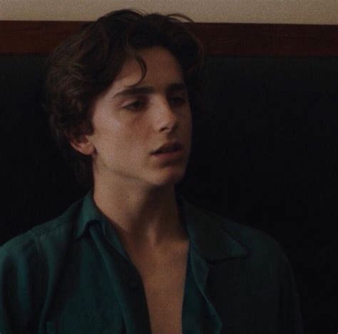 Lovers Rock Timothee Chalamet Smut Gods And Monsters Kyle Scheible
