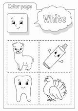Flashcard Preschoolers Colors sketch template