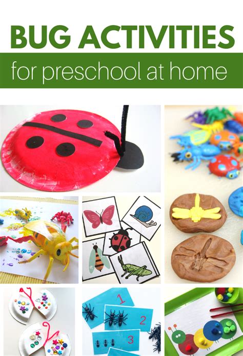 bug activities  preschool  home