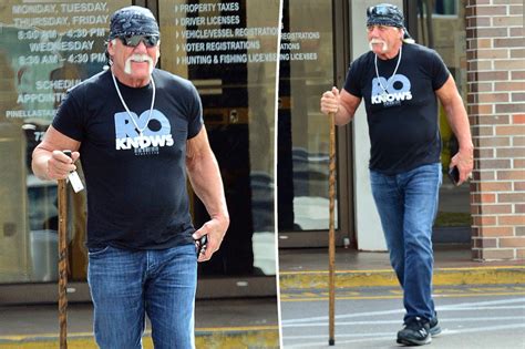 Hulk Hogan Page Six