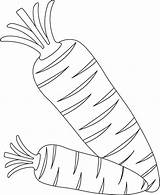 Carrots Bestcoloringpages sketch template