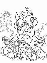 Thumper Bunnies Baby sketch template