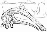Coloring Pages Brontosaurus Dinosaur Coloriage Clipart Tableau Choisir Un Dinosaurs Colorier Library Popular Line sketch template