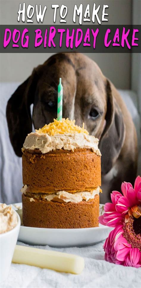 dog birthday cake dog birthday cake dog birthday treats