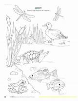 Pond Coloring Pages Animals Frog Color Printable Getcolorings Getdrawings Print sketch template