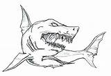 Shark Megalodon Drawing Coloring Sketch Pages Whale Goblin Color Paintingvalley Drawings Template Sharks sketch template