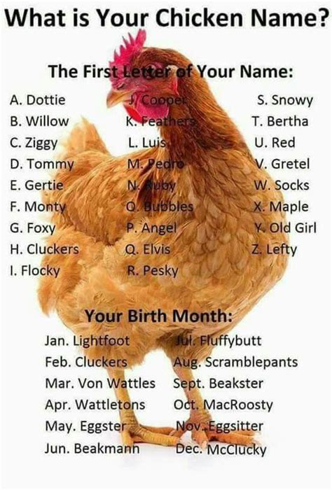 pin by kimberly willis on quizzes and games chicken names
