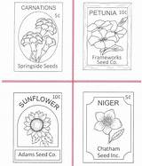 Embroidery Seed Packets Patterns Hand Pattern Choose Board sketch template