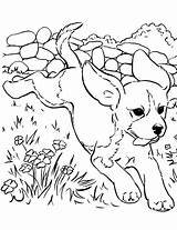 Beagle Bestcoloringpagesforkids Crayola sketch template