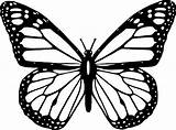 Butterfly Monarch Bubakids sketch template