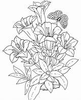 Realistic Coloring Flowers Pages sketch template