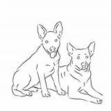 Dog Coloring Pages Cattle Pet Natural Dogs sketch template