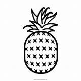 Abacaxi Colorir Preto Imprimir Ananas Pineapple Imprimirdesenhos sketch template