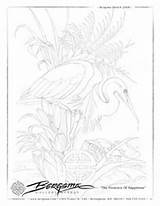 Coloring Pages Jody Bergsma Adult Drawings Drawing Books Bird Painting Scratchboard Quilts Fabric Asian Animal sketch template