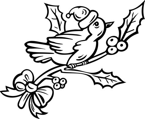 robin bird coloring pages coloring home