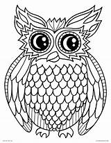 Coloring Pages Owl Animals Printable Night Kids Adults Bird sketch template