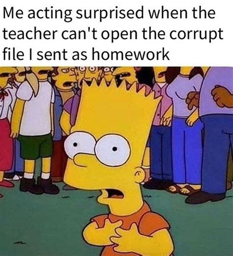 funniest school student memes    true