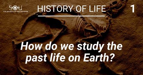 history  life series introduction