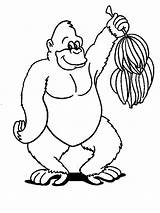Aap Apen Affen Ausmalbild Colorare Dieren Banana Affe Pages Ausmalen Monkeys Malvorlage Bananen Ausmalbilder Mewarnai Malvorlagen Monyet Scimmia Singes Scimmie sketch template