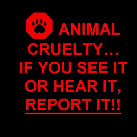 cruelty animal cruelty