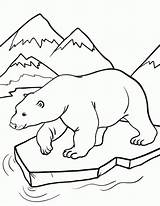 Polar Bear Coloring Pages Drawing Printable Animal Cub Colouring Arctic Animals Bears Sheets Kids Outline Print Everfreecoloring Cute Baby Getdrawings sketch template