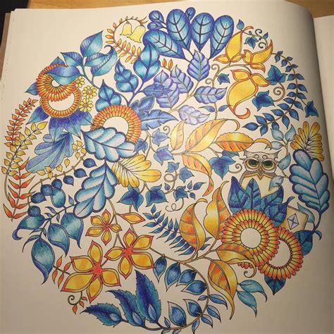 finished coloring  enchanted forest  joanna basford adultcoloringpages adultcoloring
