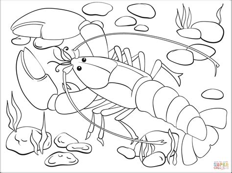 omar hana coloring pages  kids omar hana  alhamdulillah