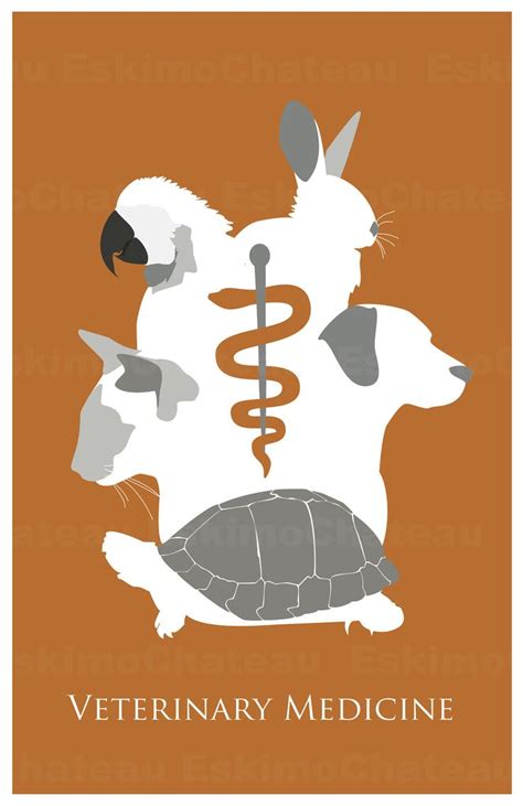 19 best vet clinic marketing ideas images on pinterest logo designing marketing ideas and