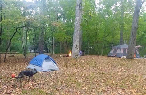 cades cove campground updated  reviews great smoky mountains national park tn tripadvisor